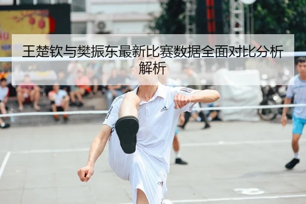 王楚钦与樊振东最新比赛数据全面对比分析解析
