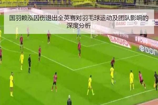 国羽赖泓因伤退出全英赛对羽毛球运动及团队影响的深度分析